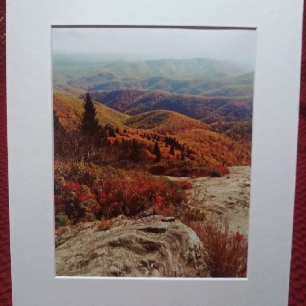 Beautiful fall foliage